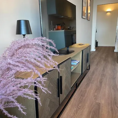 Seehase Im Seetempel Scharbeutz